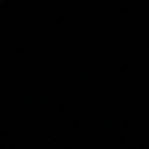 Meet your Posher, Rose